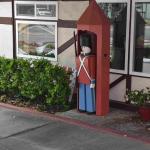 DSC_0082_01 (August 23, 2020)